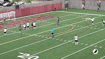 Goal Free Kick GIF by Minneapolis City SC