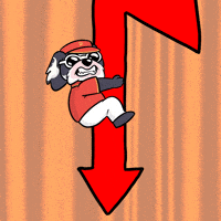 BoDoggos-down-its-over-price-3LcOi1fXmCzNaYyemC