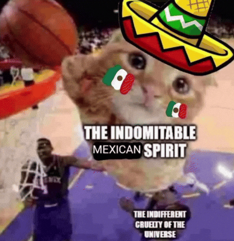 Cat Basketball GIF