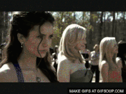 damon and elena