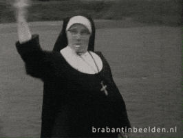 Scheids GIF by BrabantinBeelden