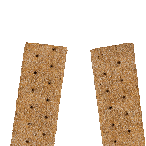 New Year Cheers Sticker by Finn Crisp North America