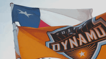 flag texas GIF by Houston Dynamo