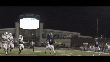 football touchdown GIF by Georgia Southern Athletics
