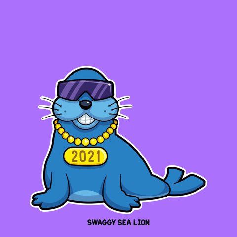 Swaggy Sea Lion Gif 2