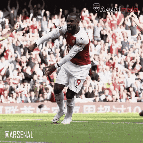 celebrating premier league GIF by Arsenal