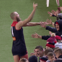 melbourne football club thank you GIF by Melbournefc