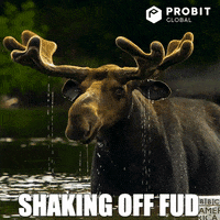 Crypto Bitcoin GIF by ProBit Global