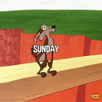 Sad Happy Sunday GIF by Looney Tunes