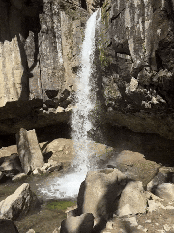 Nature GIF