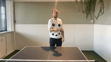 come at me ping pong GIF by Nmbrs