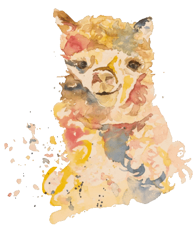 Cute Alpaca Sticker