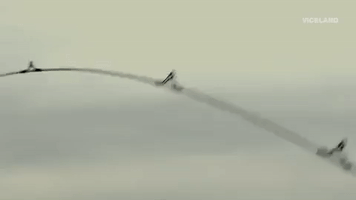 fishing GIF by F*CK, THAT'S DELICIOUS