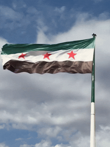 Wave Flag GIF