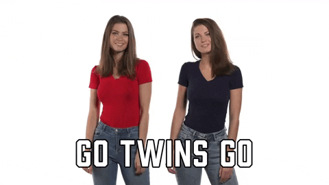 twins meme gif