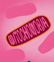 Oxygen Mitochondria GIF