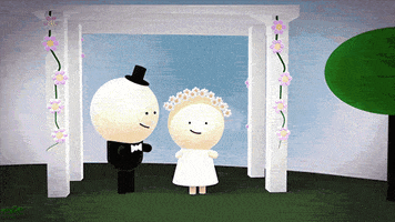 Wedding Marriage GIF