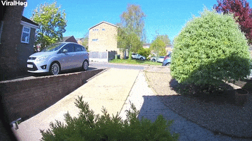 Ring Doorbell Captures Scooter Fail GIF by ViralHog