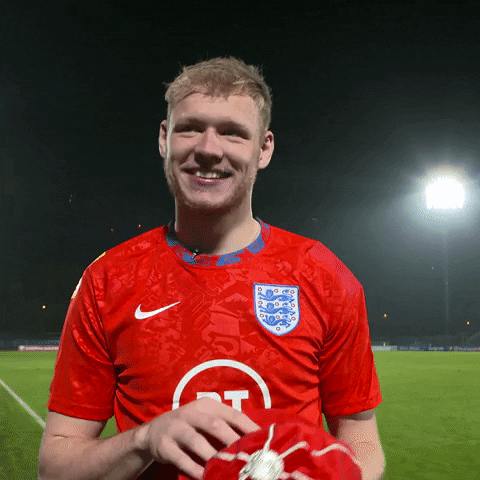 Aaron Ramsdale Arsenal GIF by England