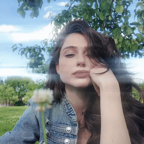 Flower Rose GIF