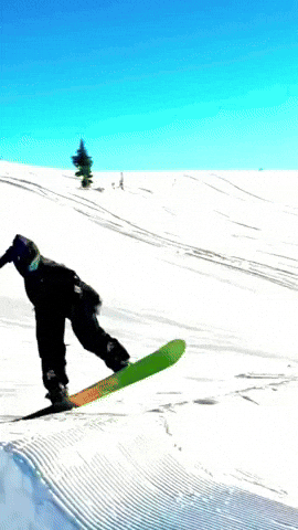 Snowboard Frdm GIF