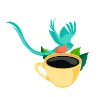 Cafe Quetzal Sticker by Coopedota