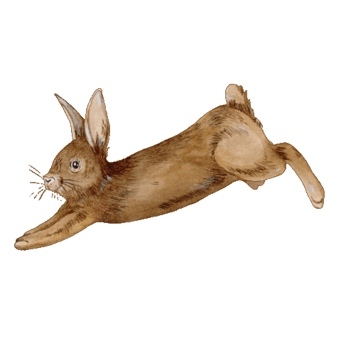 Rabbit Kralik Sticker by epipi.cz
