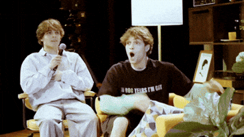 Sturniolo Triplets GIF by Sam McGrath