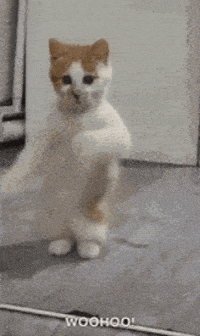 Dance GIF