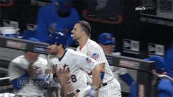 new york mets baseball GIF by MLB