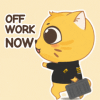Going Home Cat GIF by AlphaESS