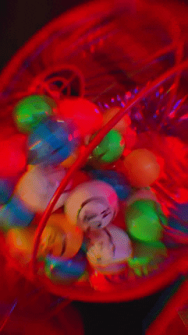 Bingo GIF