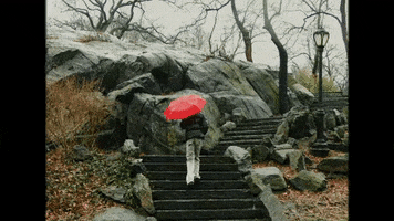 Rain Raining GIF by aldn