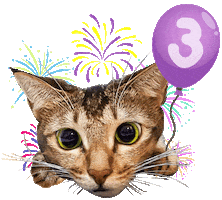 New Year Cat Sticker