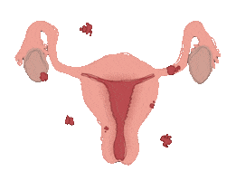 Uterus Sticker