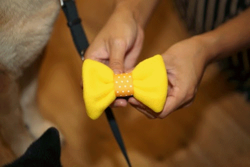 funny yellow guys