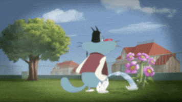 film camera GIF by Oggy and the Cockroaches
