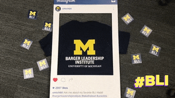 social media instagram GIF by Barger Leadership Institute