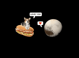 planet sub love GIF by Nebraska Humane Society