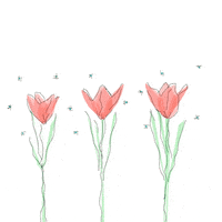 Flowers Blooming Gif By Javi Carrasco Find Share On Giphy