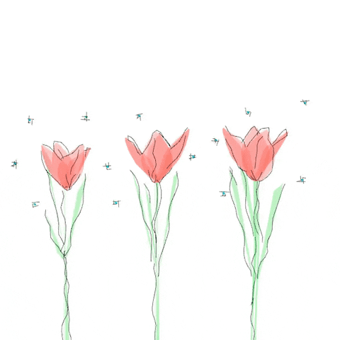 Flowers Drawing Gif