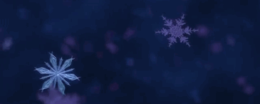 snowflakes