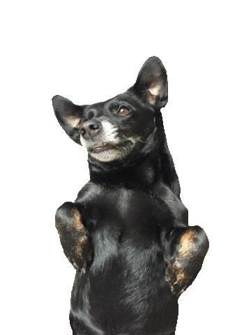 Malamarianne Sticker by dariadaria