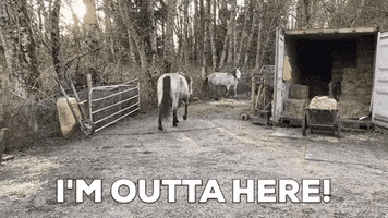 Bye GIF
