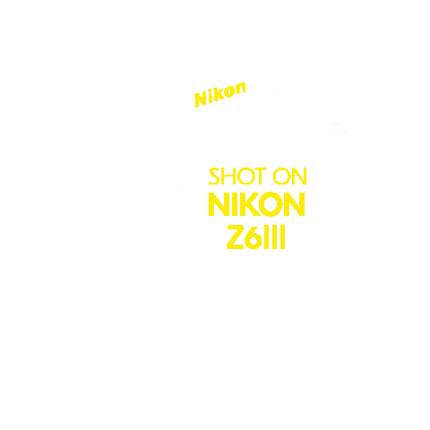 Nikon Camera Sticker by For The True