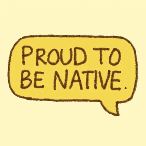 Proud Native American GIF