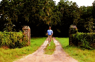 200.gif?cid=fc005b081a993fbd174df1885a86b7b756a5addea7fdd0b0&rid=200.gif&ct=g