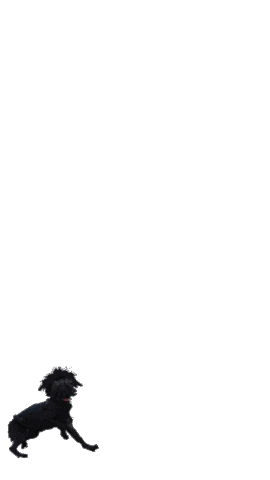 Birddog Sticker by Love Adorned