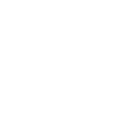 Anqos Professional Sticker