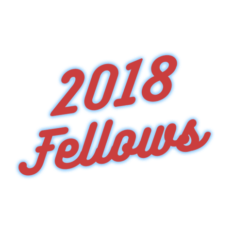 Vfa Vfafellows Sticker by Venture for America